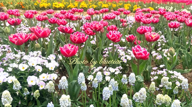 11BFB661-BCDC-4DAC-9674-133C26E3F1DA-640