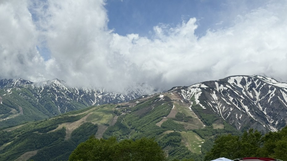 S__34594829_0