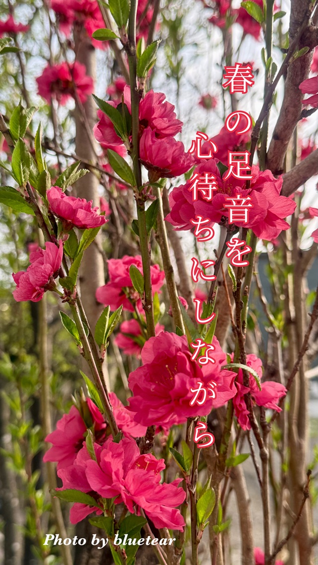 eb321a5dc3e8b38beb12c440efa90c0a